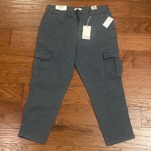 NWT Kenzie Blue-Gray Cargo Pants Size 12/31